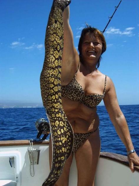 tiger moray Cavalier & Blue Marlin Sport Fishing Gran Canaria