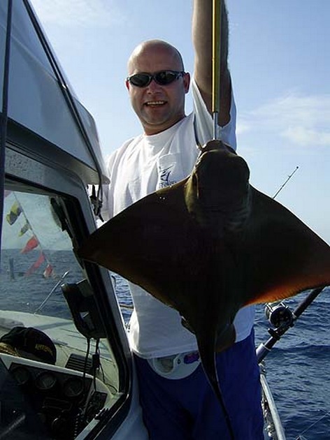 eagle ray Cavalier & Blue Marlin Sport Fishing Gran Canaria