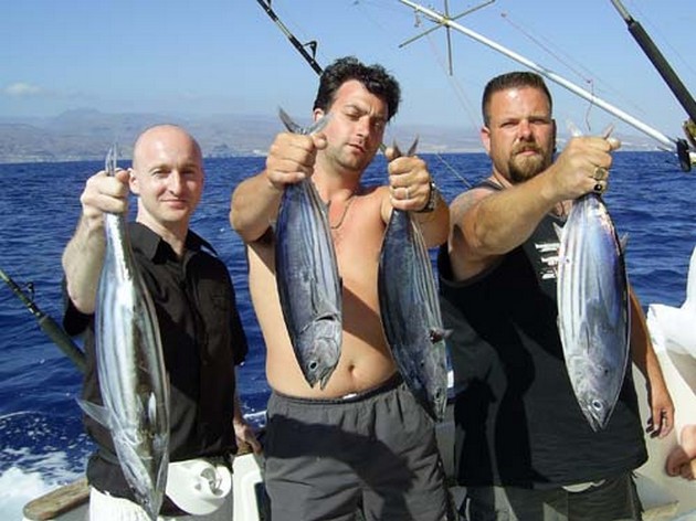 skipjack tuna Cavalier & Blue Marlin Sport Fishing Gran Canaria