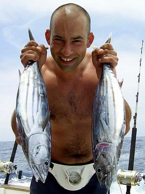 skipjack tuna Cavalier & Blue Marlin Sport Fishing Gran Canaria