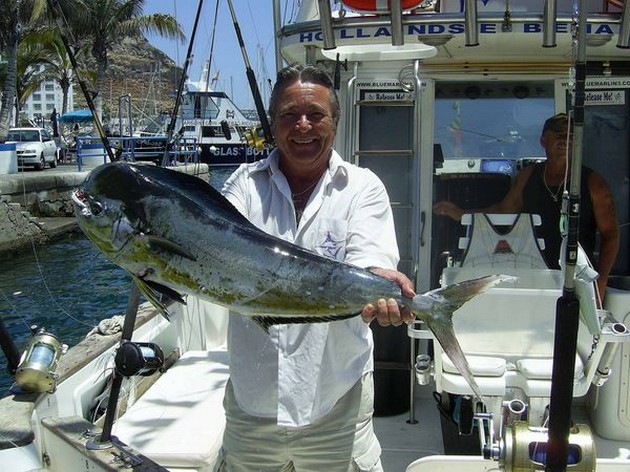 dorado Cavalier & Blue Marlin Sport Fishing Gran Canaria
