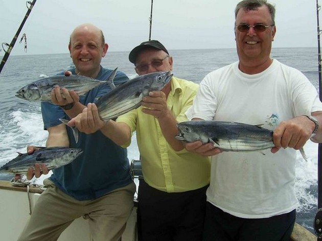 skipjack tuna Cavalier & Blue Marlin Sport Fishing Gran Canaria