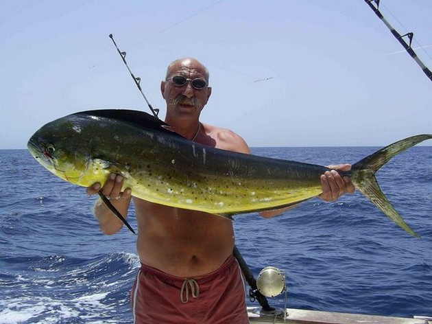 dorado Cavalier & Blue Marlin Sport Fishing Gran Canaria