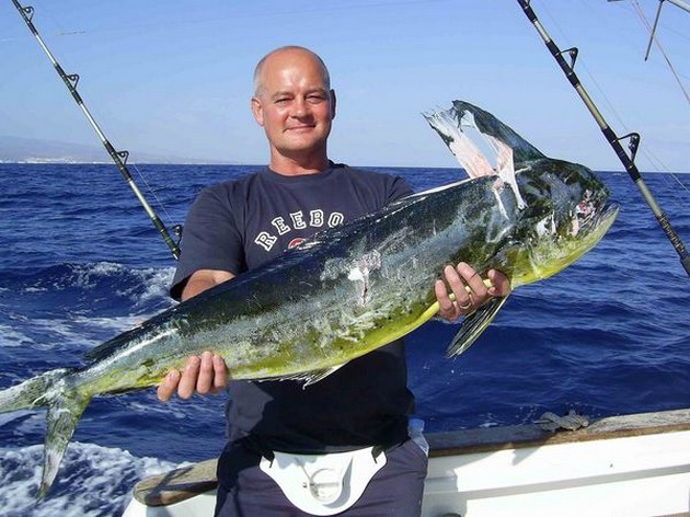 dorado Cavalier & Blue Marlin Sport Fishing Gran Canaria