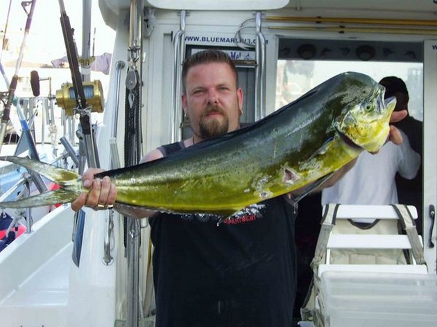 dorado Cavalier & Blue Marlin Sport Fishing Gran Canaria