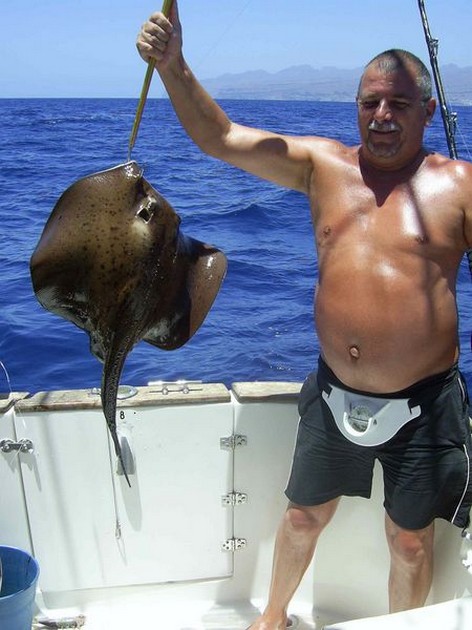 roughtail stingray Cavalier & Blue Marlin Sport Fishing Gran Canaria