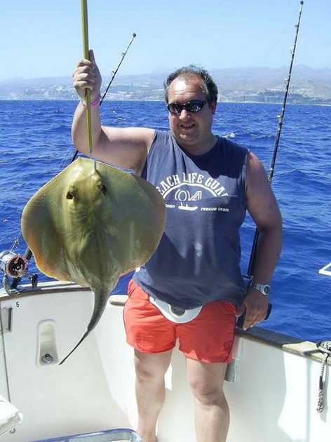 common stingray Cavalier & Blue Marlin Sport Fishing Gran Canaria