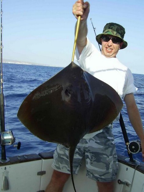 common stingray Cavalier & Blue Marlin Sport Fishing Gran Canaria