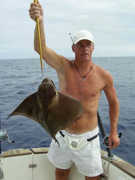 eagle ray Cavalier & Blue Marlin Sport Fishing Gran Canaria