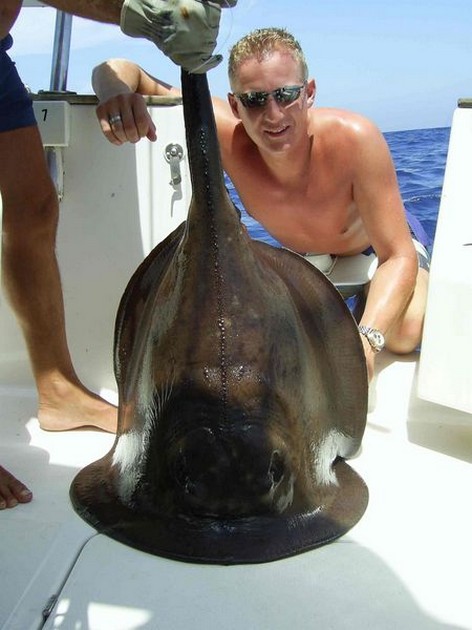 roughtail stingray Cavalier & Blue Marlin Sport Fishing Gran Canaria