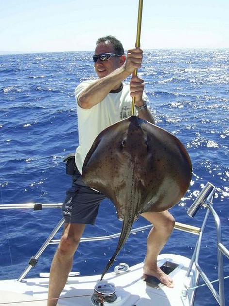 roughtail stingray Cavalier & Blue Marlin Sport Fishing Gran Canaria