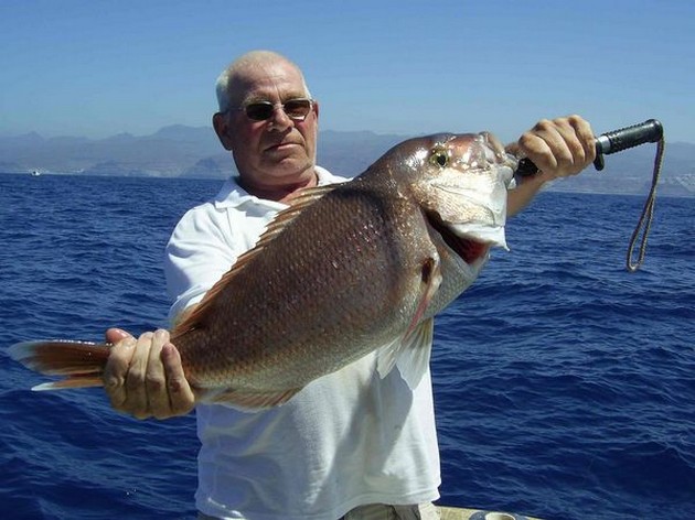 red snapper Cavalier & Blue Marlin Sport Fishing Gran Canaria