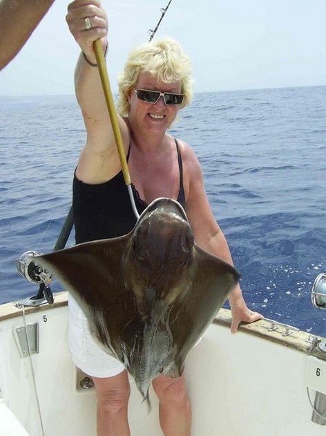 cownose ray Cavalier & Blue Marlin Sport Fishing Gran Canaria