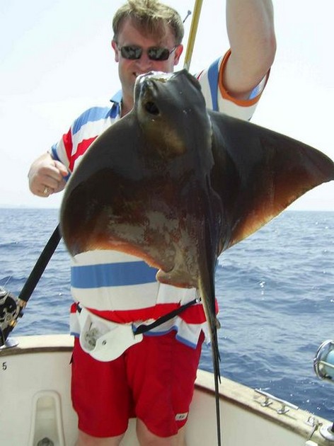 cownose ray Cavalier & Blue Marlin Sport Fishing Gran Canaria