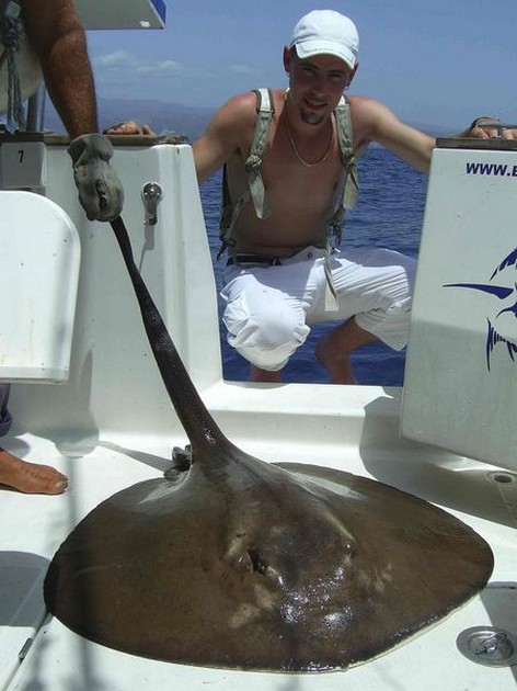 round stingray Cavalier & Blue Marlin Sport Fishing Gran Canaria