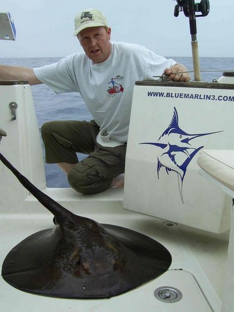 round stingray Cavalier & Blue Marlin Sport Fishing Gran Canaria