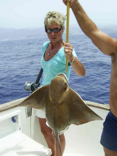 eagle ray Cavalier & Blue Marlin Sport Fishing Gran Canaria
