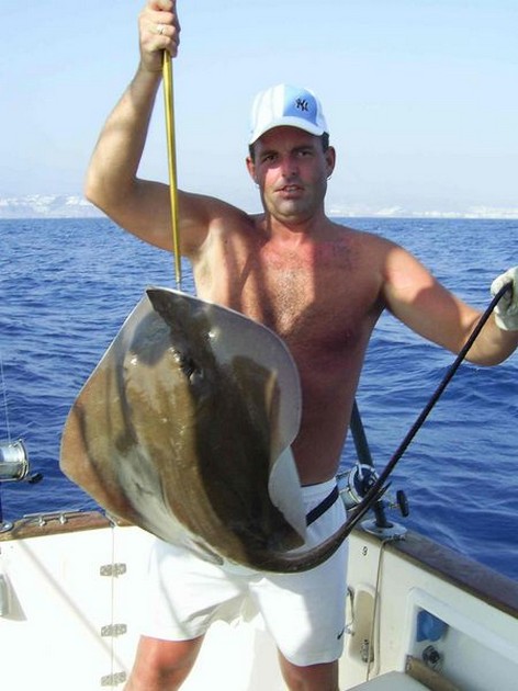 common stingray Cavalier & Blue Marlin Sport Fishing Gran Canaria