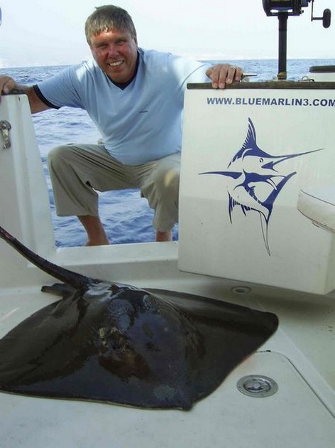 common stingray Cavalier & Blue Marlin Sport Fishing Gran Canaria