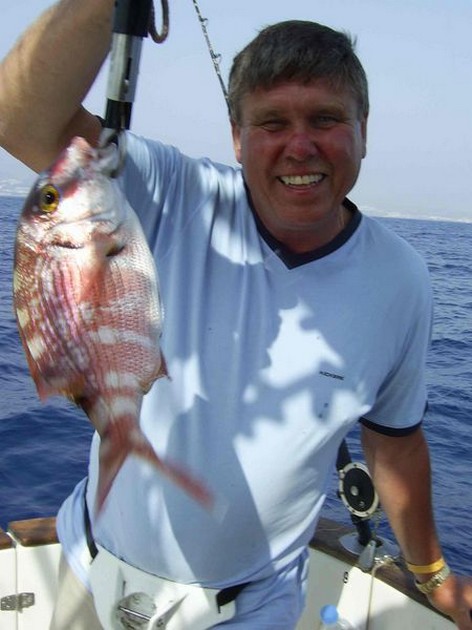 redbanded seabream Cavalier & Blue Marlin Sport Fishing Gran Canaria
