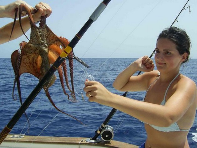 octopus Cavalier & Blue Marlin Sport Fishing Gran Canaria