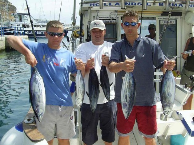 skipjack tuna Cavalier & Blue Marlin Sport Fishing Gran Canaria