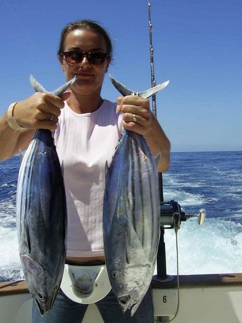 skipjack tuna Cavalier & Blue Marlin Sport Fishing Gran Canaria