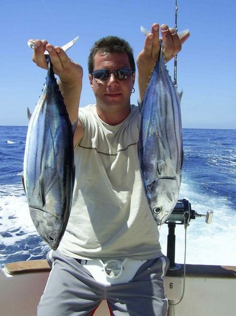skipjack tuna Cavalier & Blue Marlin Sport Fishing Gran Canaria