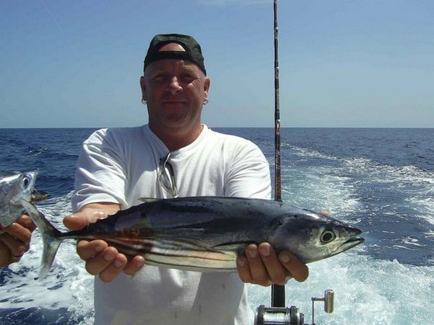 skipjack tuna Cavalier & Blue Marlin Sport Fishing Gran Canaria