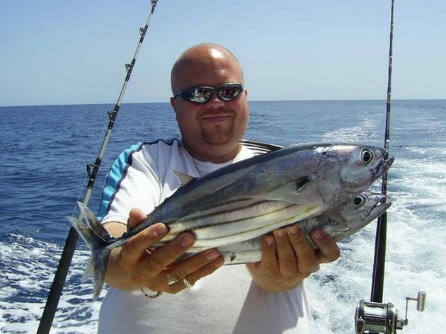 skipjack tuna Cavalier & Blue Marlin Sport Fishing Gran Canaria