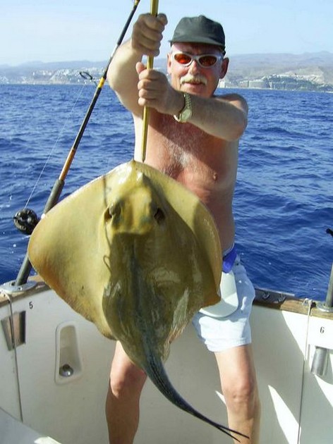 common stingray Cavalier & Blue Marlin Sport Fishing Gran Canaria