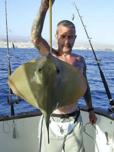 common stingray Cavalier & Blue Marlin Sport Fishing Gran Canaria