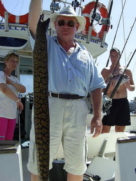 tiger moray Cavalier & Blue Marlin Sport Fishing Gran Canaria