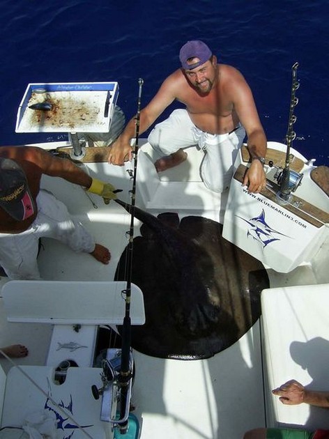 round stingray Cavalier & Blue Marlin Sport Fishing Gran Canaria