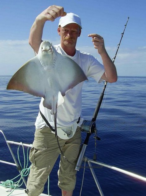eagle ray Cavalier & Blue Marlin Sport Fishing Gran Canaria