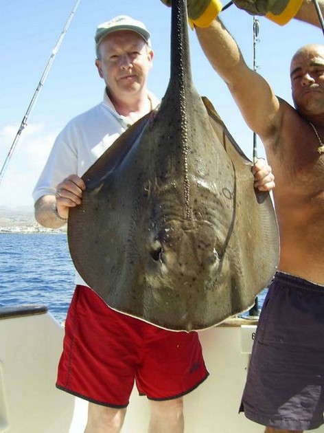 roughtail stingray Cavalier & Blue Marlin Sport Fishing Gran Canaria