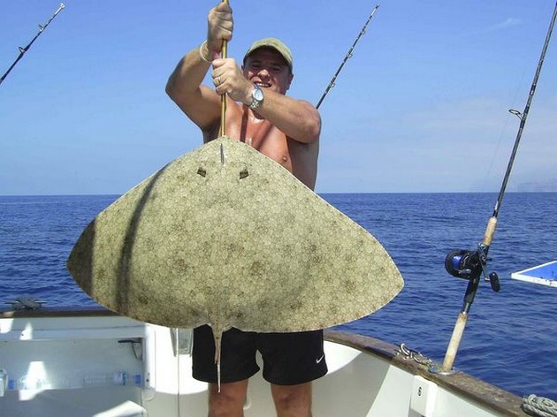 butterfly ray Cavalier & Blue Marlin Sport Fishing Gran Canaria