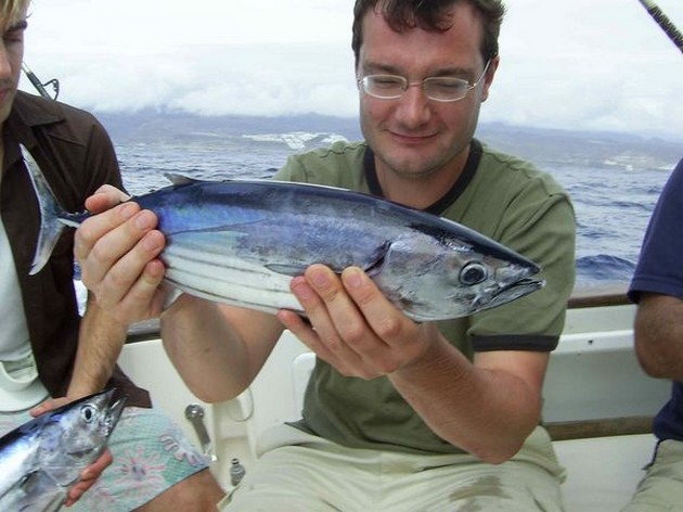 skipjack tuna Cavalier & Blue Marlin Sport Fishing Gran Canaria