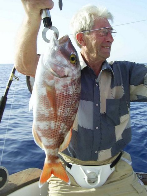 red snapper Cavalier & Blue Marlin Sport Fishing Gran Canaria