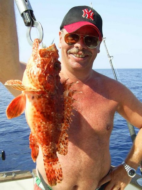 scorpionfish Cavalier & Blue Marlin Sport Fishing Gran Canaria