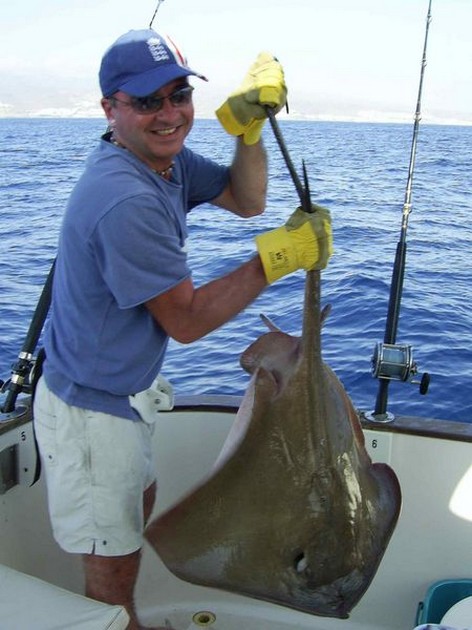 common stingray Cavalier & Blue Marlin Sport Fishing Gran Canaria