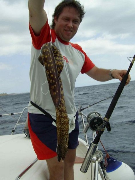 tiger moray Cavalier & Blue Marlin Sport Fishing Gran Canaria