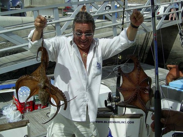 octopus Cavalier & Blue Marlin Sport Fishing Gran Canaria