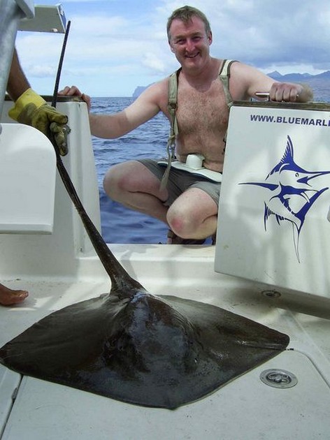 common stingray Cavalier & Blue Marlin Sport Fishing Gran Canaria