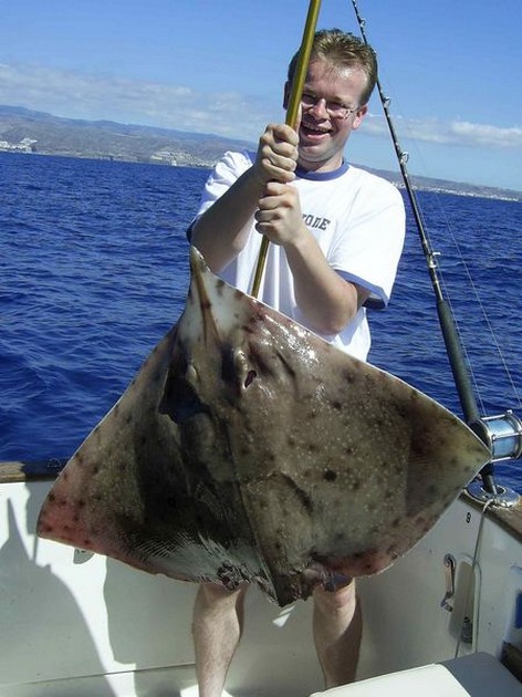 thornback ray Cavalier & Blue Marlin Sport Fishing Gran Canaria