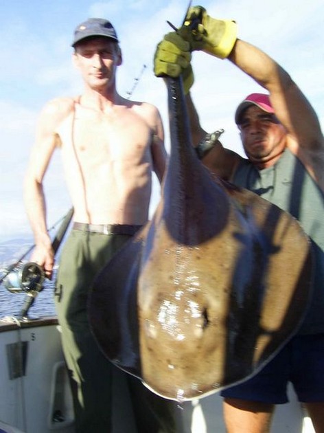 roughtail stingray Cavalier & Blue Marlin Sport Fishing Gran Canaria