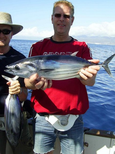 skipjack tuna Cavalier & Blue Marlin Sport Fishing Gran Canaria