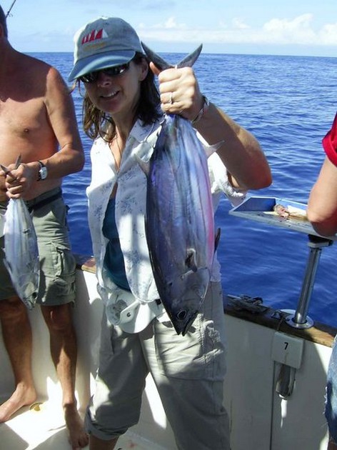 skipjack tuna Cavalier & Blue Marlin Sport Fishing Gran Canaria