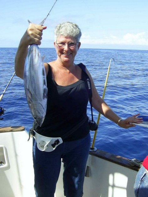 skipjack tuna Cavalier & Blue Marlin Sport Fishing Gran Canaria