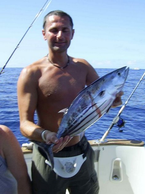 skipjack tuna Cavalier & Blue Marlin Sport Fishing Gran Canaria